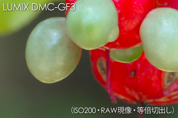 DMC-GF3 ISO200