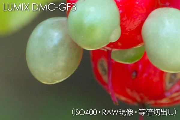 DMC-GF3 ISO400