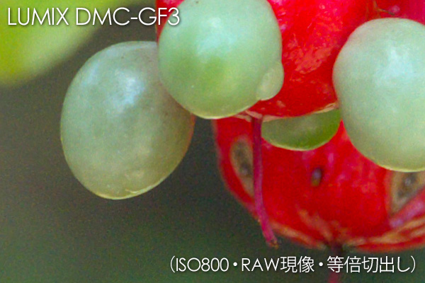 DMC-GF3 ISO800