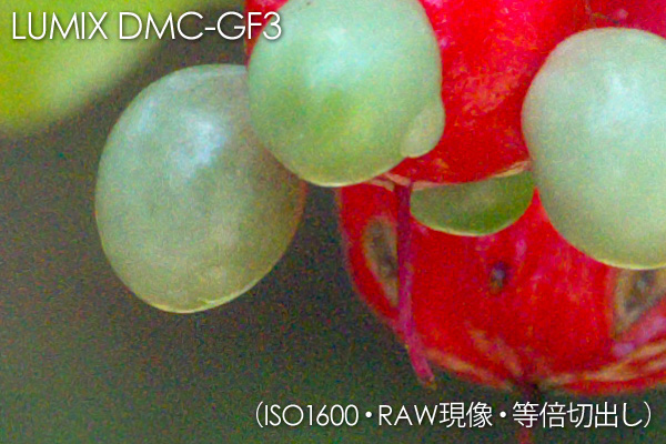 DMC-GF3 ISO1600