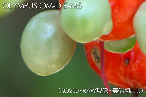 OM-D E-M5 ISO200
